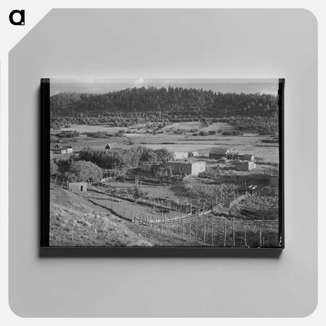 アートパネル-Llano de San Juan Farmstead
 - ラッセル リー Canvas.