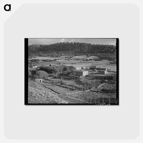 アートポストカード-Llano de San Juan Farmstead
 - ラッセル リー Postcard.