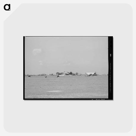 アートポストカード-Farmstead in Refugio County
 - ラッセル リー Postcard.