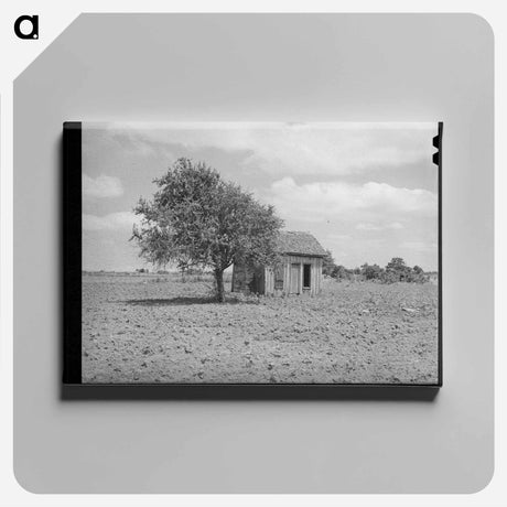 アートパネル-Cabin in the Cotton
 - ラッセル リー Canvas.