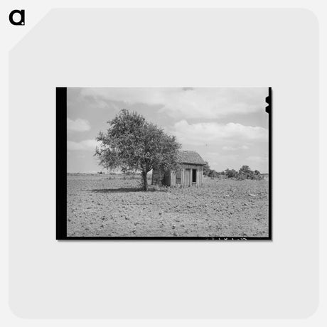 アートポストカード-Cabin in the Cotton
 - ラッセル リー Postcard.