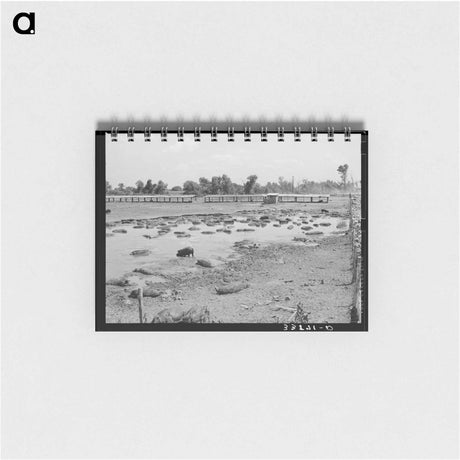 アートメモ帳-Oklahoma City Hog Pen
 - ラッセル リー Memo.