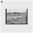 アートポストカード-Oklahoma City Hog Pen
 - ラッセル リー Postcard.