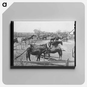 アートパネル-Mules in Sale Lot
 - ラッセル リー Canvas.