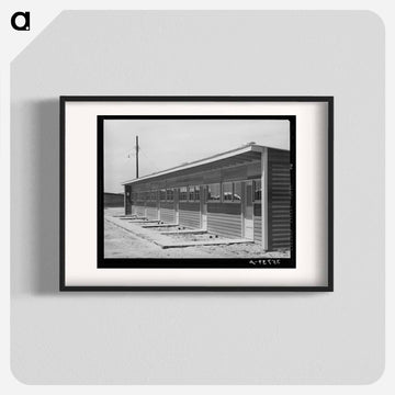 Migrant Workers' Shelter
 - ラッセル リー Poster.