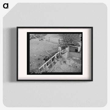 Barnyard Scene
 - ラッセル リー Poster.