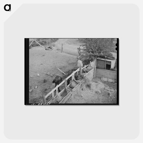 アートポストカード-Barnyard Scene
 - ラッセル リー Postcard.