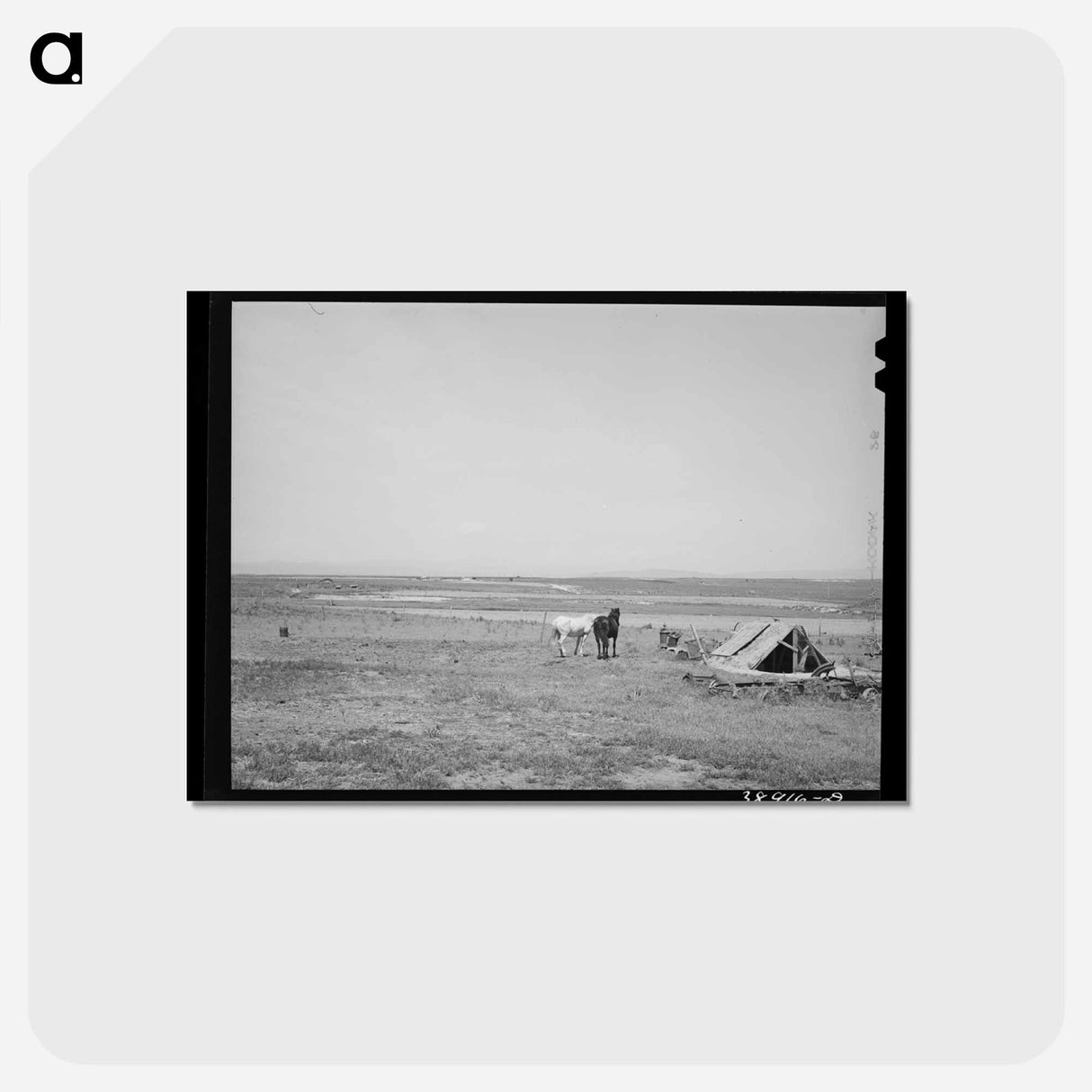 アートポストカード-Dead Ox Flat Farming
 - ラッセル リー Postcard.
