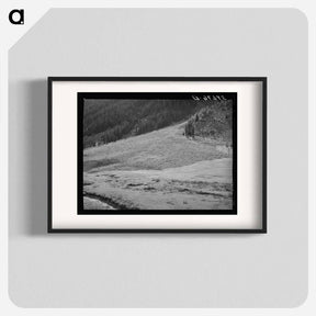 アートポスター-Sheep on Mountain Slope
 - ラッセル リー Poster.