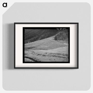 Sheep on Mountain Slope
 - ラッセル リー Poster.