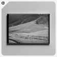 アートパネル-Sheep on Mountain Slope
 - ラッセル リー Canvas.