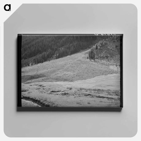 アートパネル-Sheep on Mountain Slope
 - ラッセル リー Canvas.