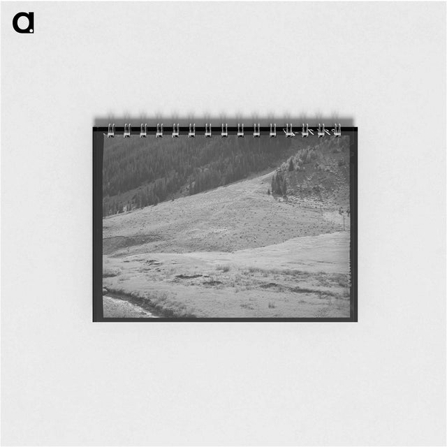 アートメモ帳-Sheep on Mountain Slope
 - ラッセル リー Memo.