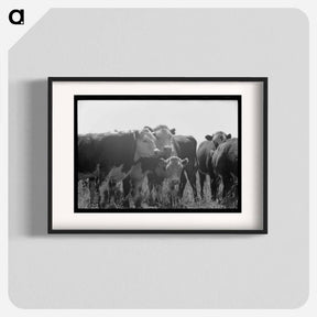 アートポスター-Yearlings. Cruzen Ranch, Valley County, Idaho
 - ラッセル リー Poster.