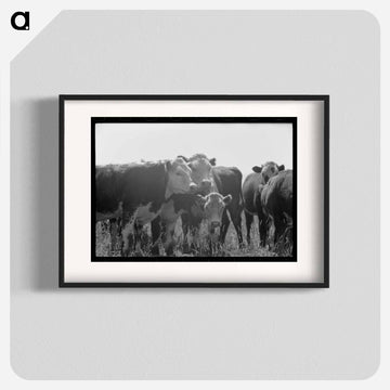 Yearlings. Cruzen Ranch, Valley County, Idaho
 - ラッセル リー Poster.