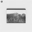 アートメモ帳-Yearlings. Cruzen Ranch, Valley County, Idaho
 - ラッセル リー Memo.