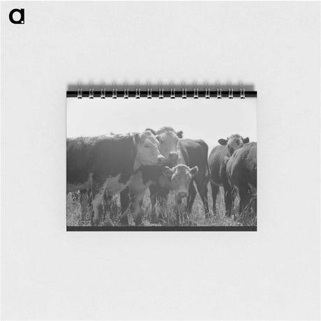 アートメモ帳-Yearlings. Cruzen Ranch, Valley County, Idaho
 - ラッセル リー Memo.