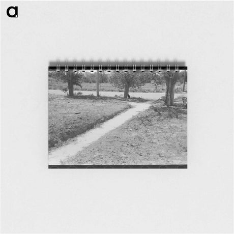 アートメモ帳-Dust and Sidewalk
 - ラッセル リー Memo.