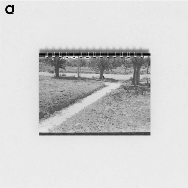 アートメモ帳-Dust and Sidewalk
 - ラッセル リー Memo.