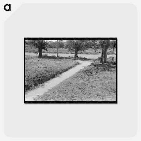 アートポストカード-Dust and Sidewalk
 - ラッセル リー Postcard.