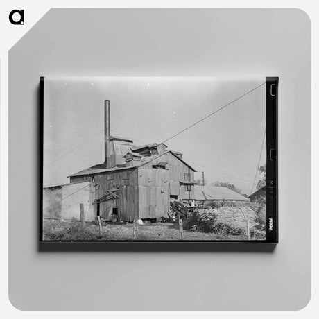 アートパネル-Sugar Mill near Breaux Bridge
 - ラッセル リー Canvas.