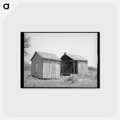 アートポストカード-Abandoned Farmhouse, McIntosh County
 - ラッセル リー Postcard.
