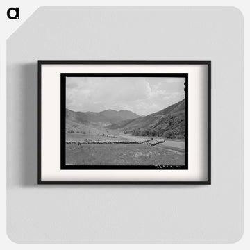 Driving Fat Lambs to Cimarron
 - ラッセル リー Poster.