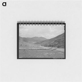 アートメモ帳-Driving Fat Lambs to Cimarron
 - ラッセル リー Memo.