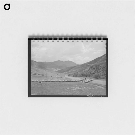 アートメモ帳-Driving Fat Lambs to Cimarron
 - ラッセル リー Memo.