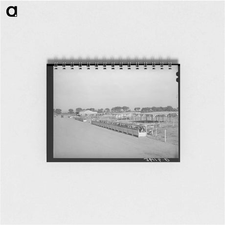 アートメモ帳-Arizona Cattle Farm
 - ラッセル リー Memo.