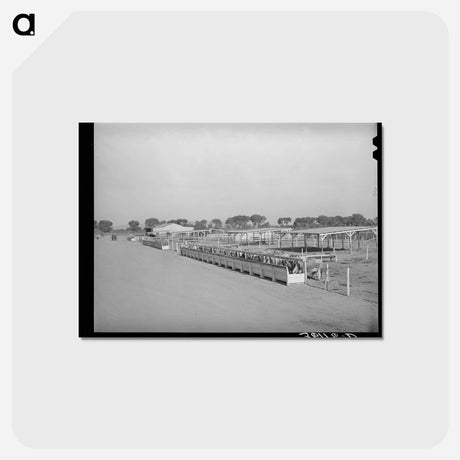 アートポストカード-Arizona Cattle Farm
 - ラッセル リー Postcard.
