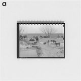 アートメモ帳-Cattle at Water Hole
 - ラッセル リー Memo.