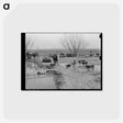アートポストカード-Cattle at Water Hole
 - ラッセル リー Postcard.