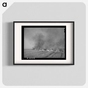 アートポスター-Wheat Stubble Burning
 - ラッセル リー Poster.