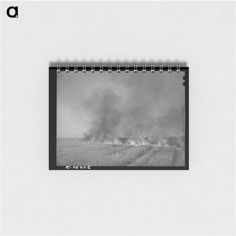 アートメモ帳-Wheat Stubble Burning
 - ラッセル リー Memo.
