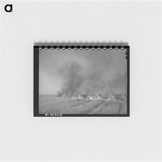 アートメモ帳-Wheat Stubble Burning
 - ラッセル リー Memo.