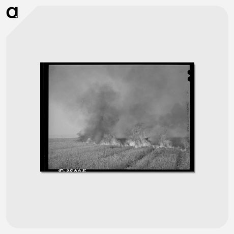 アートポストカード-Wheat Stubble Burning
 - ラッセル リー Postcard.