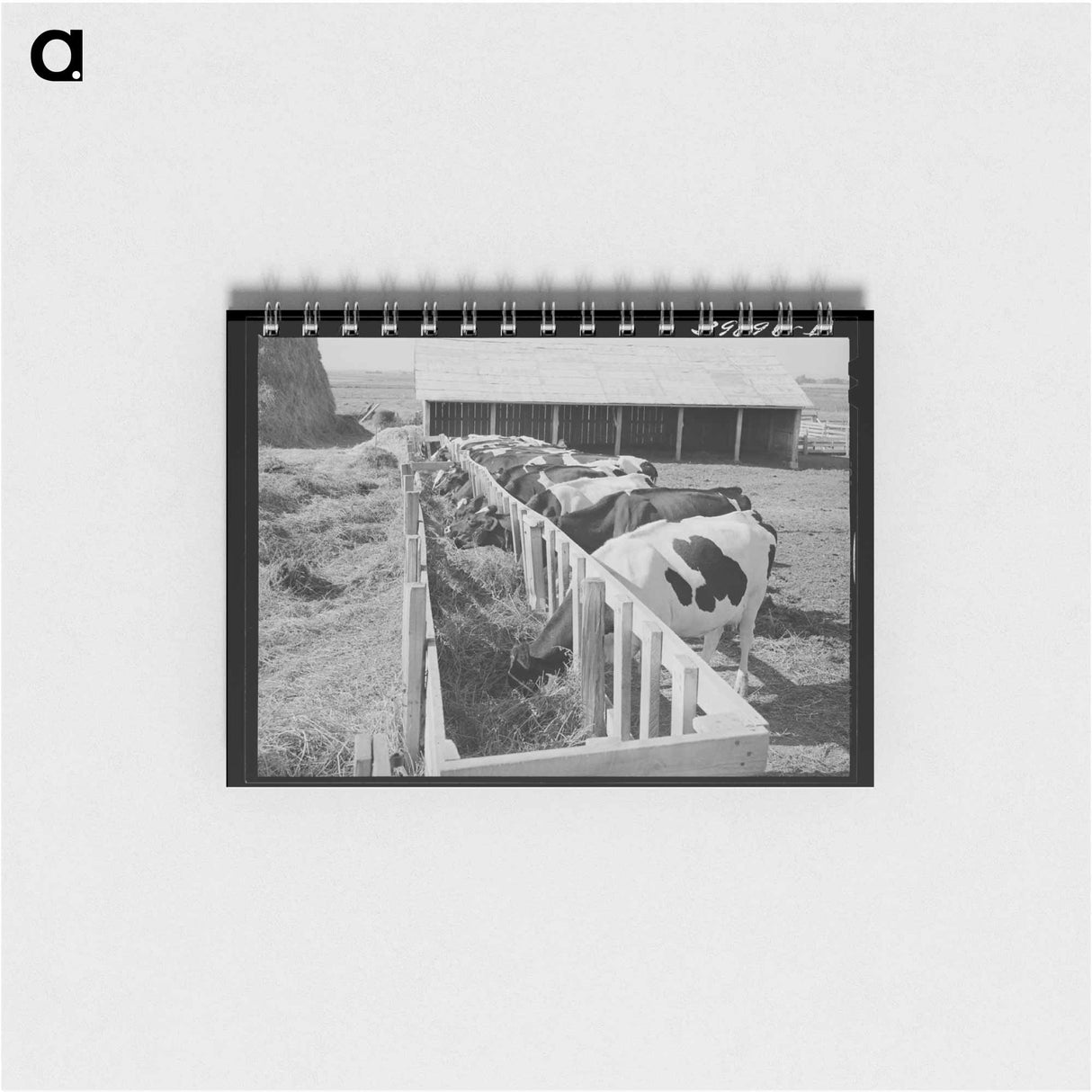 アートメモ帳-Cows on Idaho Farm
 - ラッセル リー Memo.