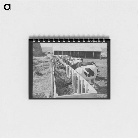 アートメモ帳-Cows on Idaho Farm
 - ラッセル リー Memo.