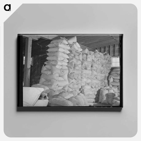 アートパネル-Sacks with Red Clover Seed
 - ラッセル リー Canvas.