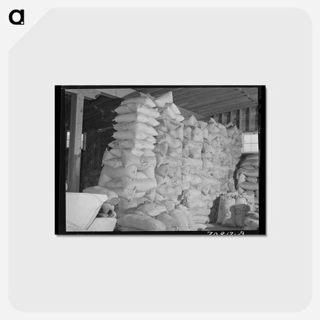 アートポストカード-Sacks with Red Clover Seed
 - ラッセル リー Postcard.