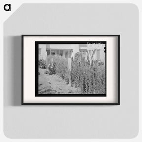 アートポスター-Arizona Apartment Backyard
 - ラッセル リー Poster.