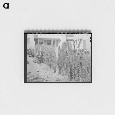 アートメモ帳-Arizona Apartment Backyard
 - ラッセル リー Memo.