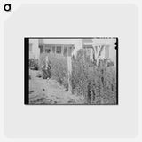 アートポストカード-Arizona Apartment Backyard
 - ラッセル リー Postcard.