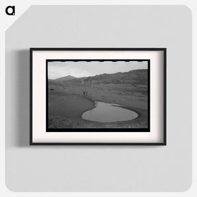 アートポスター-Socorro Waterhole
 - ラッセル リー Poster.