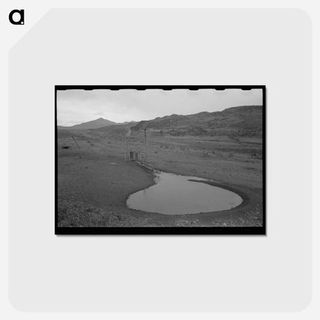 アートポストカード-Socorro Waterhole
 - ラッセル リー Postcard.