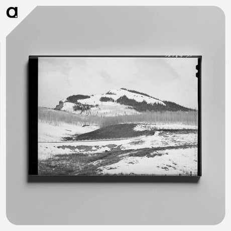 アートパネル-Snow-Covered Mountains
 - ラッセル リー Canvas.