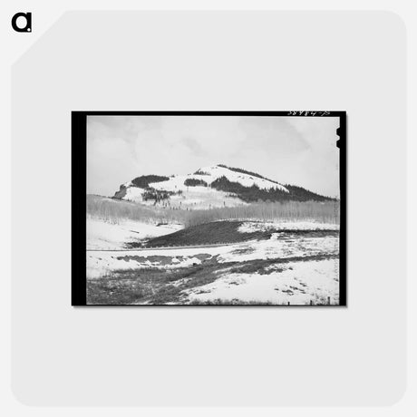 アートポストカード-Snow-Covered Mountains
 - ラッセル リー Postcard.