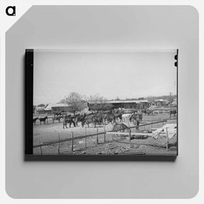 アートパネル-Mules in Sale Lot
 - ラッセル リー Canvas.