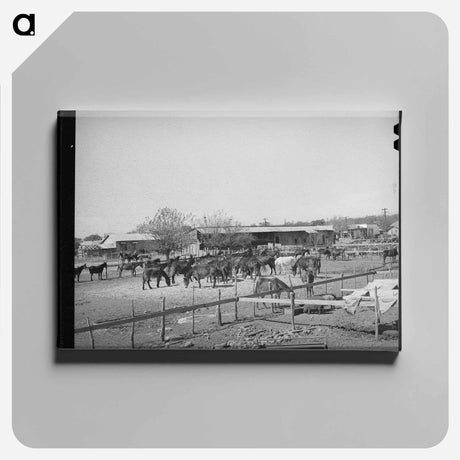 アートパネル-Mules in Sale Lot
 - ラッセル リー Canvas.